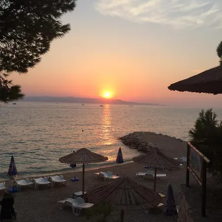 Katarina ماكارسكا